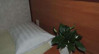 Гостиница DragonFlay Ухта Двухместный номер с 1 кроватью или 2 отдельными кроватями-9